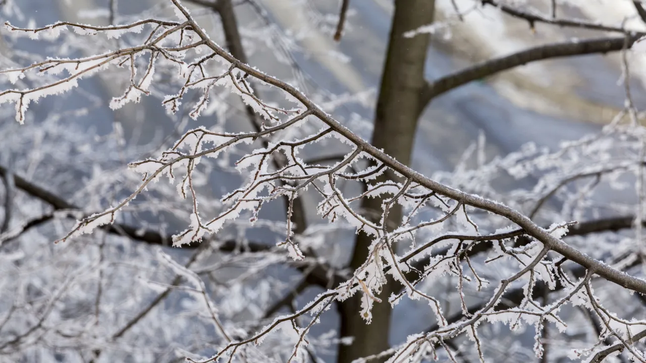 Погода в Україні 26 січня різко зміниться: чого чекати сьогодні 