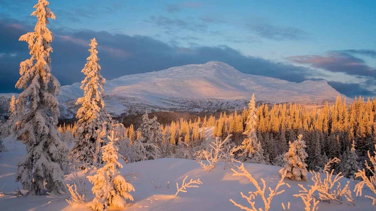День Іоана Златоуста 27 січня: чому сьогодні не можна дивитися у дзеркало та приймати подарунки 