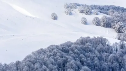 Синоптики повідомили, яка погода чекає на українців у лютому 2026 - фото