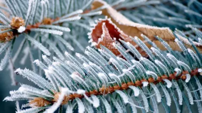 Тріскучі морози повертаються: синоптики назвали дату, коли в Україні вдарять аномальні -24 градуси - фото