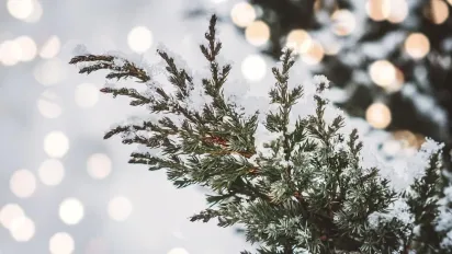 Що потрібно покласти на підвіконня 29 січня, щоб захистити дім від нечистої сили: народні прикмети - фото