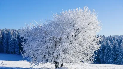Морози до -30° в Україні: де буде найхолодніше на початку лютого - фото