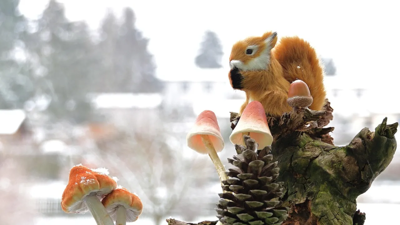 Собор трьох святителів 30 січня: чому сьогодні небезпечно одягати червоне та про що молитися 