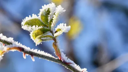 Україну скують екстремальні морози до -25°C: синоптики оголосили жовтий рівень небезпеки - фото