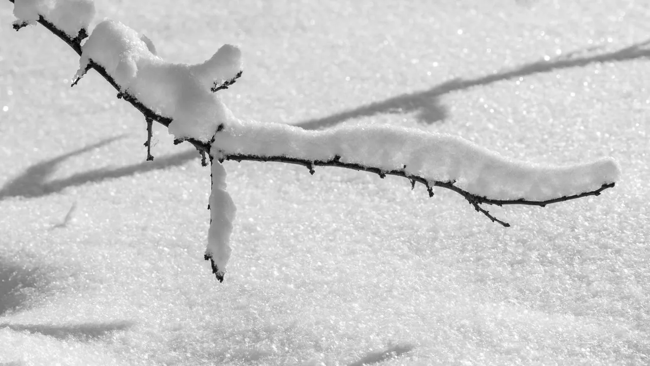 День святого Микити 31 січня: чому не можна виходити з дому ввечері та які заборони вбережуть від лиха 