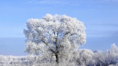 Лютий в Україні стартує з сильних морозів: де буде найхолодніше - фото