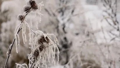Коли тріскучі морози в Україні підуть на спад: синоптикиня назвала точну дату - фото