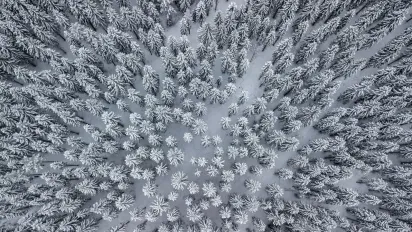Україну накрили екстремальні морози до -28°C: прогноз погоди на 2 лютого по всіх областях - фото