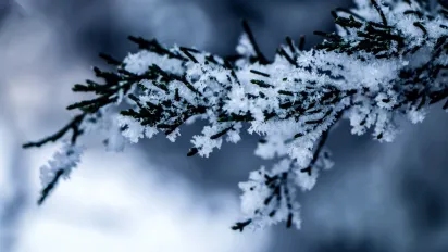 Аномальні морози відступають: синоптики назвали дату відлиги в Україні - фото