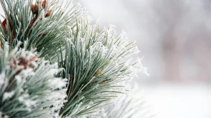 Морози до -28°C в Україні: прогноз Наталки Діденко на 3 лютого  - фото