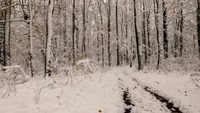 Температурні гойдалки: коли в Україну прийде тепло та чому морози повернуться вже за тиждень - фото