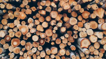 Допомога на дрова та паливо 2026: як оформити виплати та пільги - фото