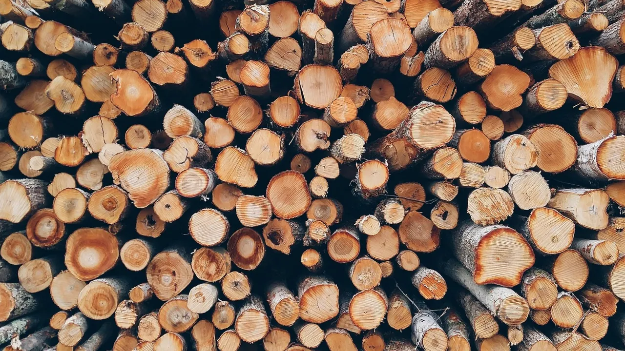 Допомога на дрова та паливо 2026: як оформити виплати та пільги 