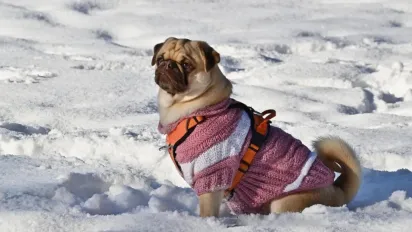В Україну повернеться холод: синоптики попередили про температурні гойдалки - фото