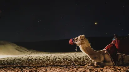 Найстійкіші знаки Зодіаку: хто найкраще справляється з випробуваннями та де вони беруть сили - фото