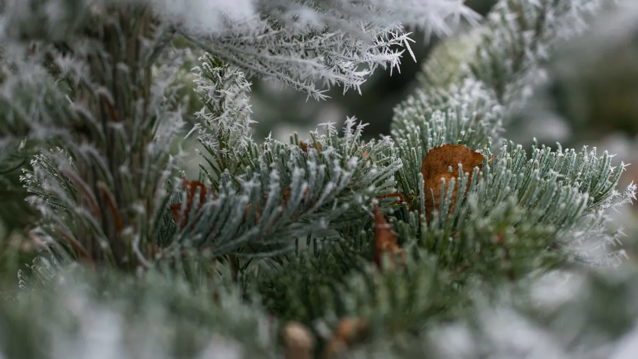 6 лютого: яке церковне свято сьогодні, головні заборони та як зустріти свою долю 