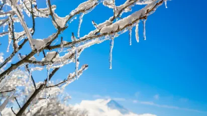 Атлантика й антициклон зійшлися над Україною: якою буде погода 6 лютого - фото