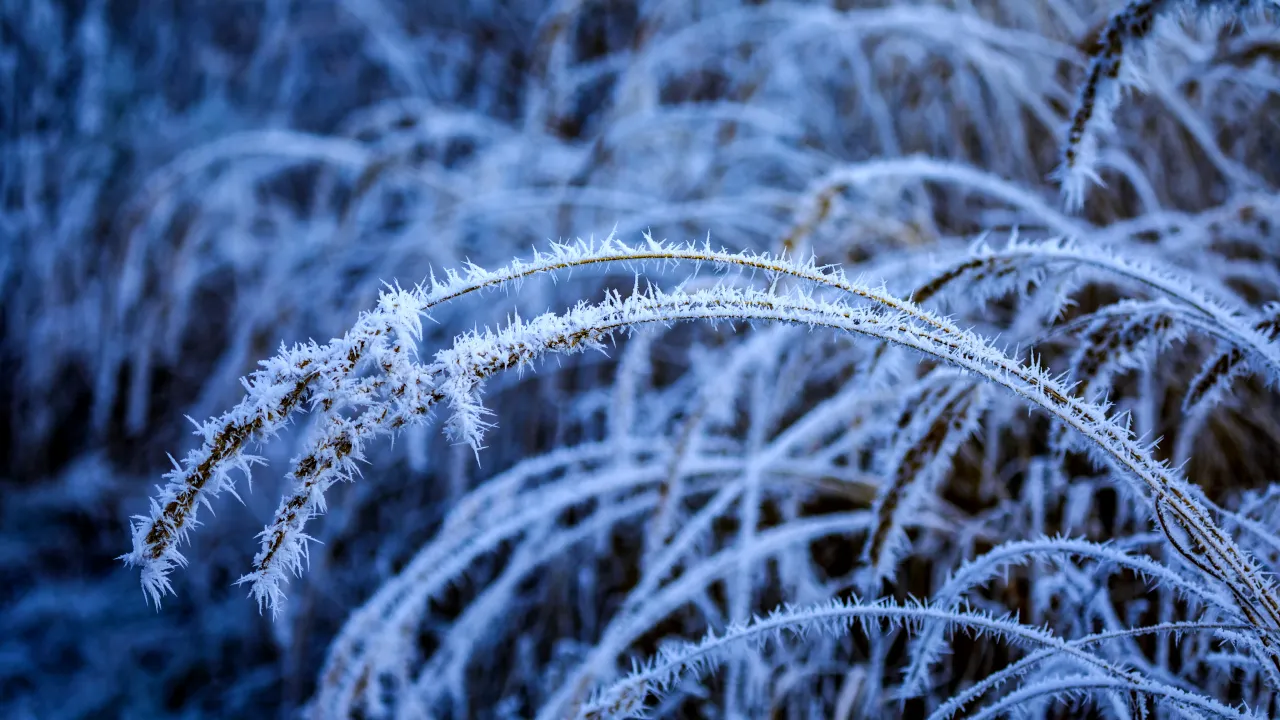Готуйте найтепліші речі: в Україну знову йдуть морози до -23°С 
