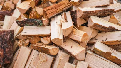Дрова чи паливні брикети: що вигідніше купувати для опалення будинку у 2026 році - фото