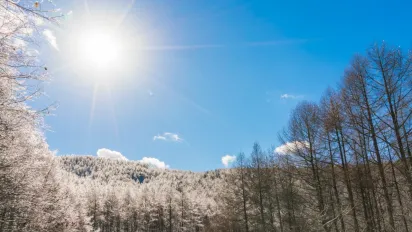 Сніг, дощ та тумани: які регіони України опиняться під ударом негоди 8 лютого - фото