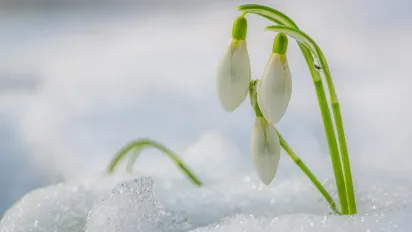 Перші ознаки весни в Україні: синоптик назвав дати зміни погоди - фото