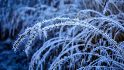 Лише дві ночі: Україну накриє аномальний мороз до -22°C перед потеплінням - фото