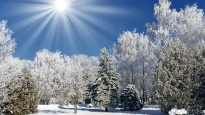 День Панкрата і Никифора 9 лютого: чому сьогодні небезпечно хвалити жінок і підбирати гроші - фото