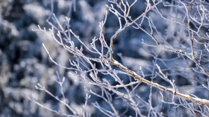 Арктичний пік: Україну накриють морози до -22 градусів, але синоптики вже назвали дату потепління - фото