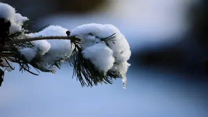 Температурні гойдалки лютого: в Україну йде різке потепління після 20-градусних морозів - фото