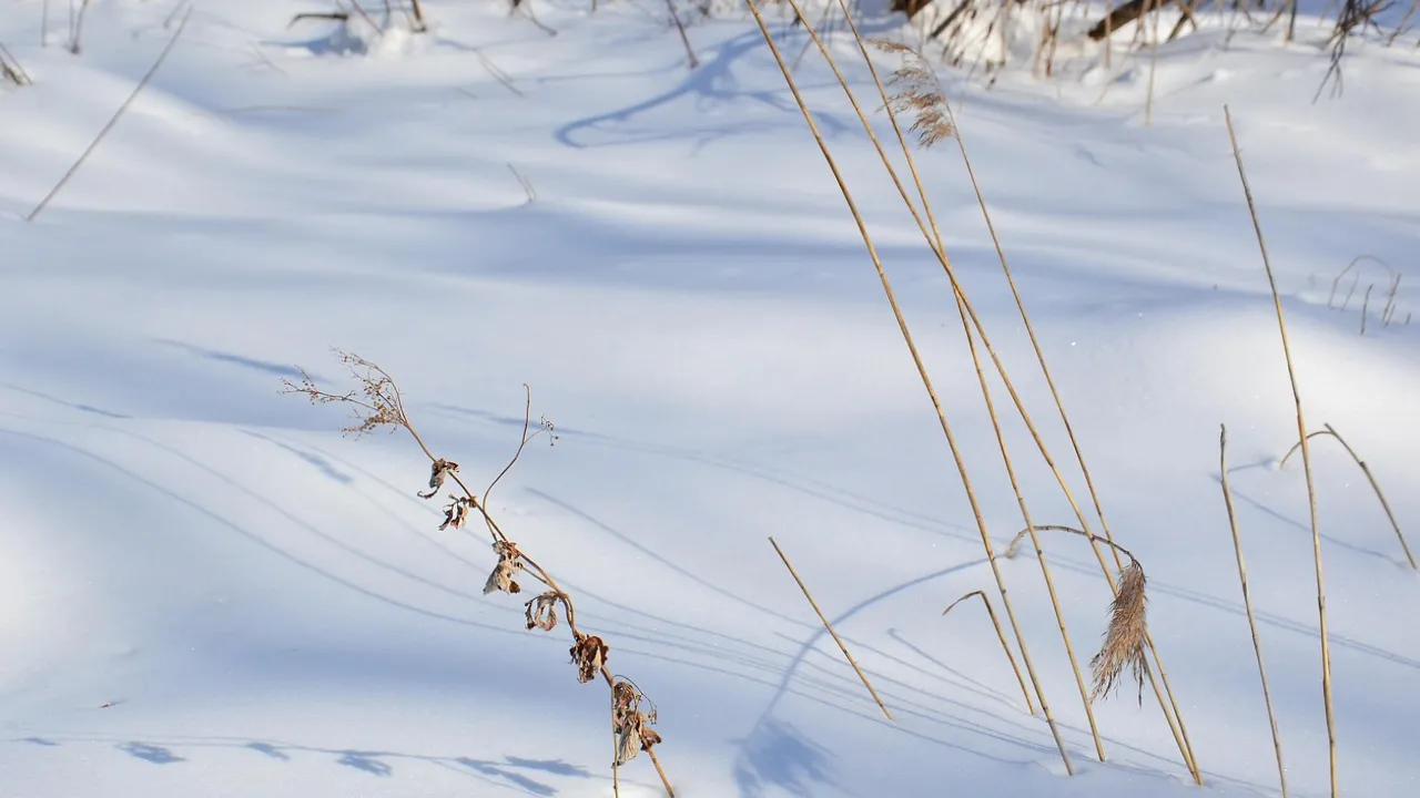 Що не можна віддавати з дому 10 лютого, аби не віддати своє щастя: народні прикмети 