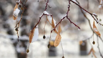 Весна скасовується? Укргідрометцентр попередив про температурні гойдалки: від відлиги до нових морозів - фото
