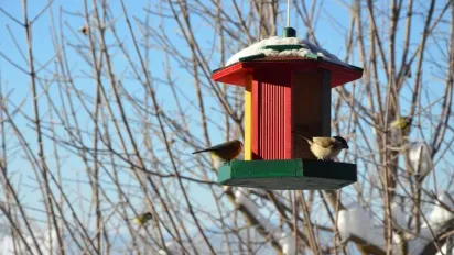 Пік аномальних морозів пройдено: синоптики назвали дату відлиги та попередили про повернення холодів - фото