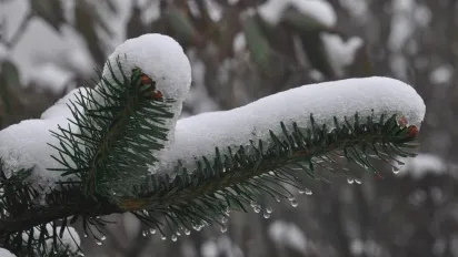 Арктичний холод відступає: Наталка Діденко попередила про різку зміну погоди 11 лютого та штормовий вітер - фото