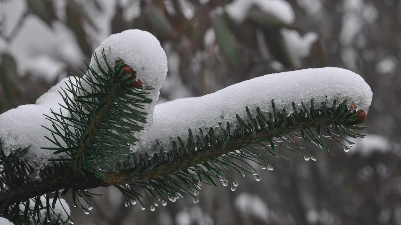 Арктичний холод відступає: Наталка Діденко попередила про різку зміну погоди 11 лютого та штормовий вітер 