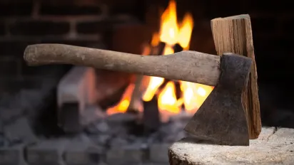 Жар триматиметься вдвічі довше: що покласти у піч, щоб зекономити дрова та отримати максимум тепла - фото