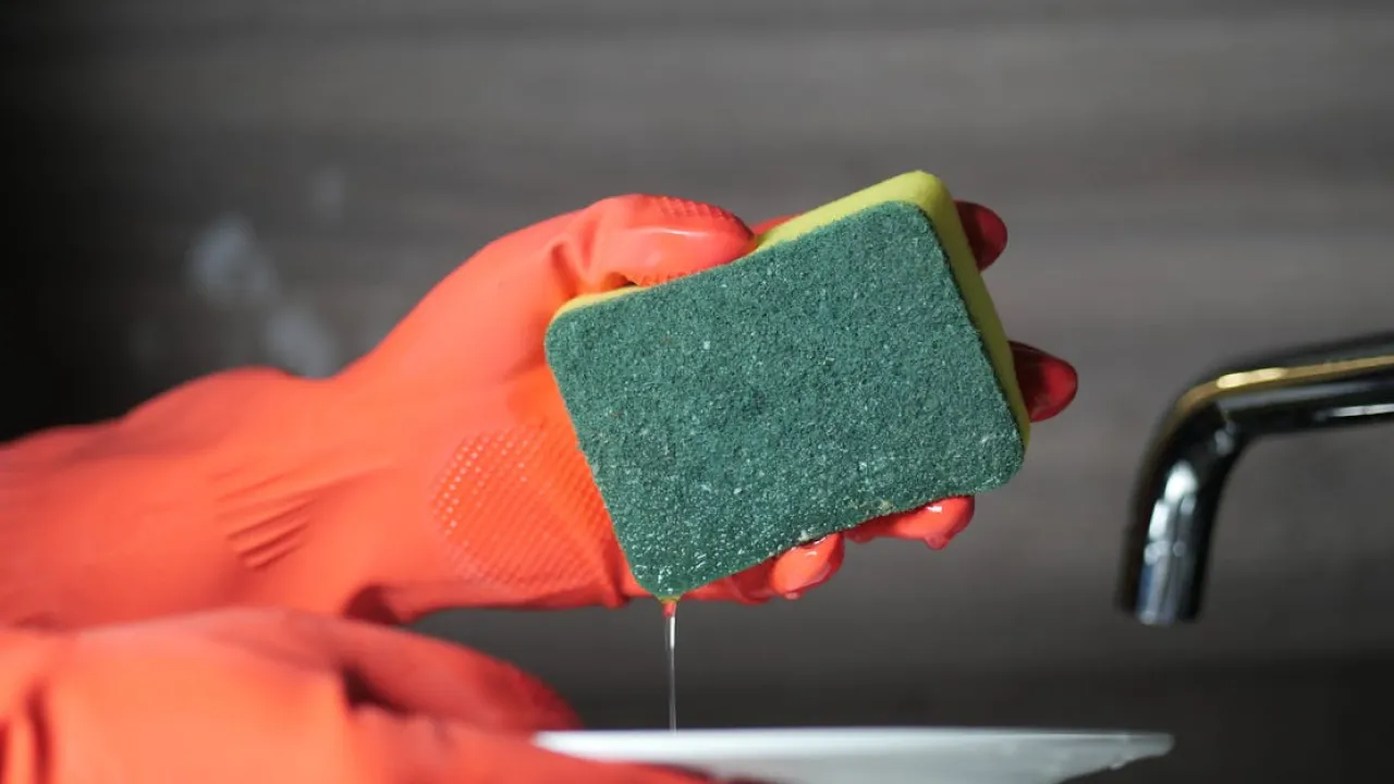 Не викидайте стару губку: копійчаний спосіб очистити її від жиру та бактерій 