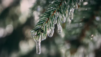 З 12 лютого потепління в Україні зміцніє, але синоптикиня попередила про небезпеку - фото