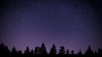 Гороскоп на 13 лютого 2026 року для всіх знаків Зодіаку - фото