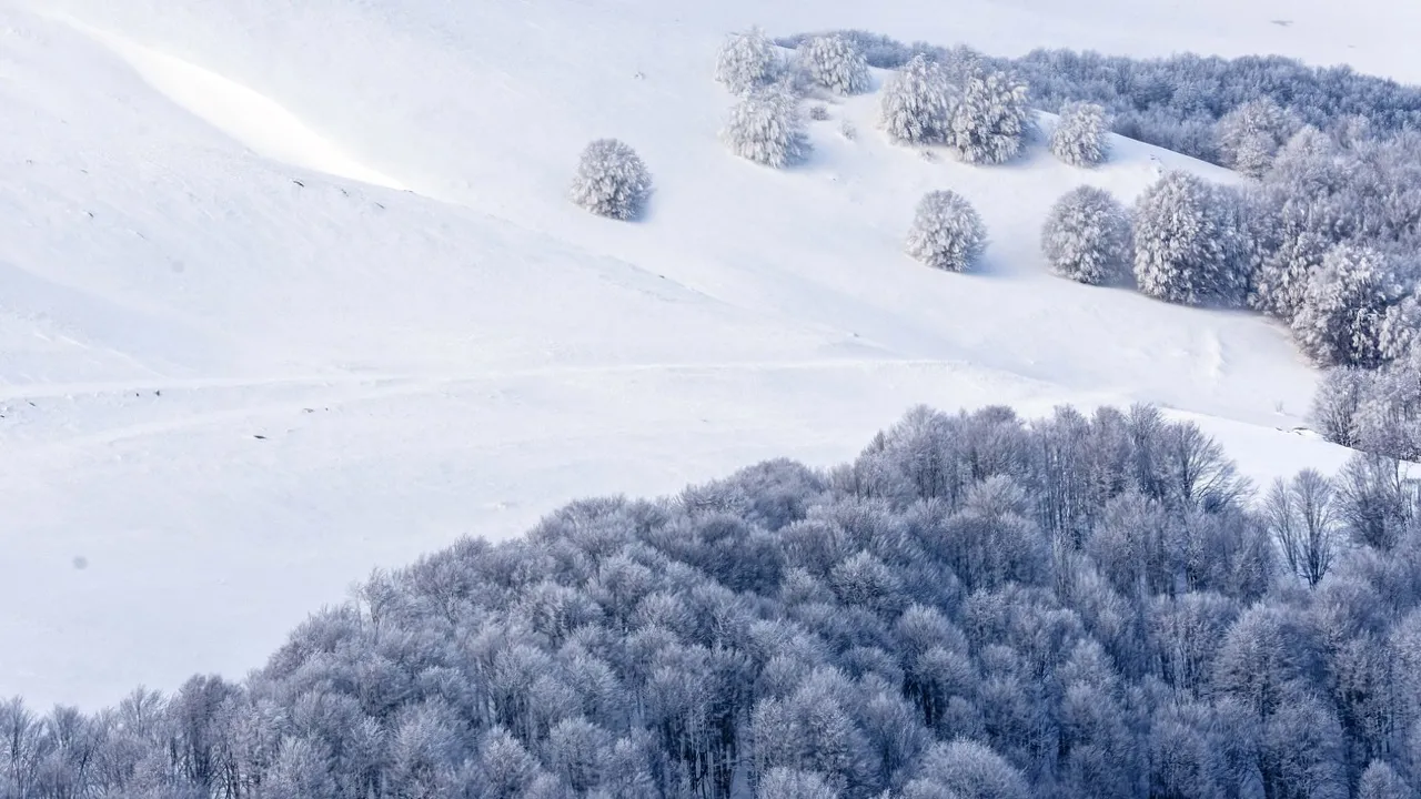 День святого Мартина та Світлани: що зробити 13 лютого, щоб удача оселилася в домі на весь рік 