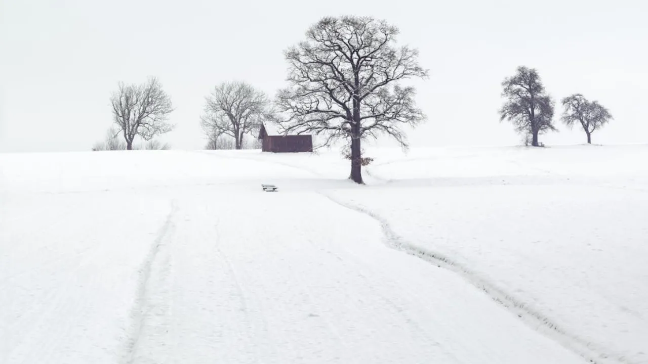 Кирило Весновказівник 14 лютого: чому не можна стригти нігті та як передбачити погоду на серпень 