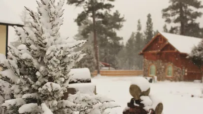 Штормовий вітер, хуртовини та морози до -18°: в Україну суне активний циклон - фото