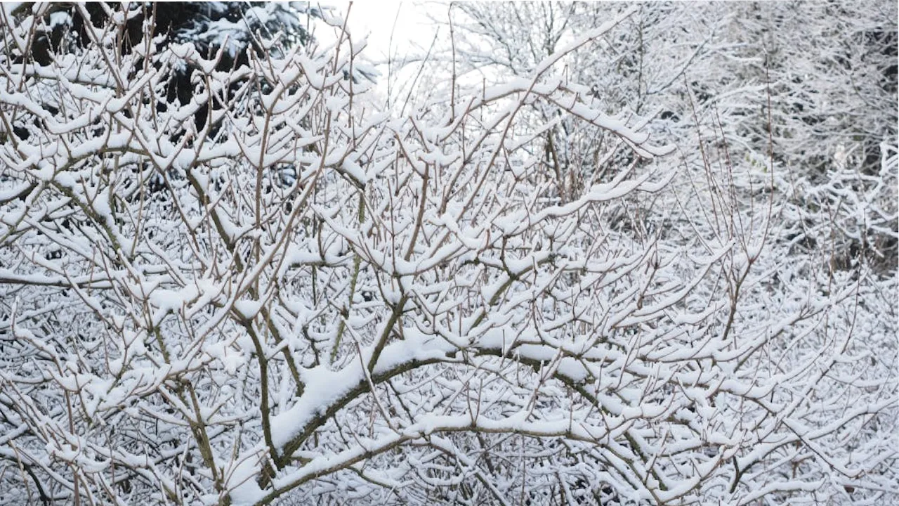 Подвійний удар циклонів: Україну накриє середземноморська волога та скандинавські морози до -17° 