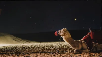 Ці знаки Зодіаку нарешті вирвуться з бідності: хто скоро розбагатіє - фото