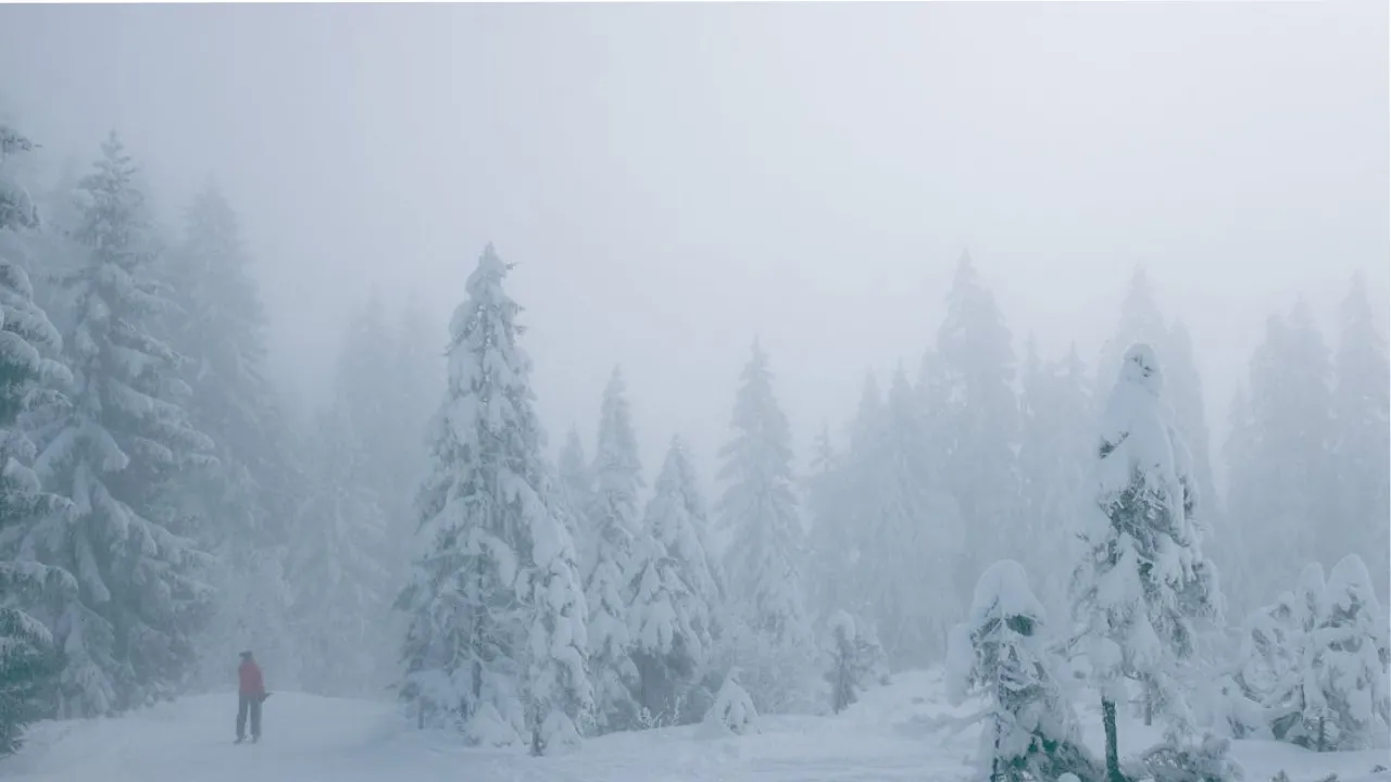 Україну накриє потужний циклон: штормовий вітер, снігопади та різке похолодання вже сьогодні 