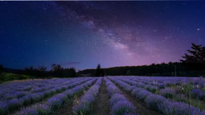 Сталевий характер та залізний спокій: 3 знаки Зодіаку, які завжди тримають ситуацію під контролем - фото