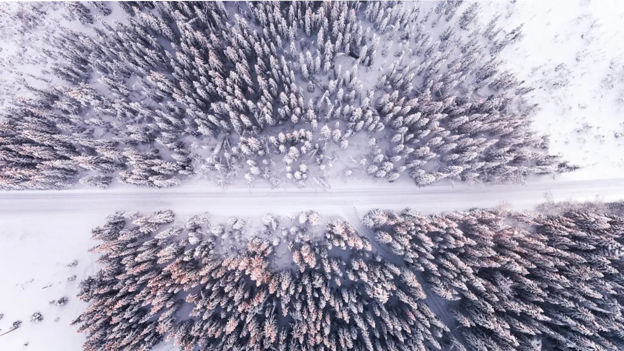 День святого Феодора Тирона 17 лютого: як захистити дім від злодіїв та залучити удачу 