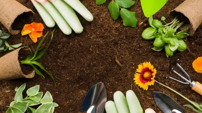 Квіти крізь сніг: дві витривалі рослини, які принесуть весну у ваш сад уже в березні - фото