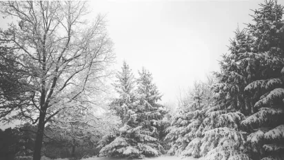 Весна скасовується? Синоптик попередив про морози до -14° та дощі в останній тиждень зими - фото