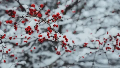 18 лютого Україну накриє циклон: синоптикиня назвала області, де погода буде найгіршою - фото