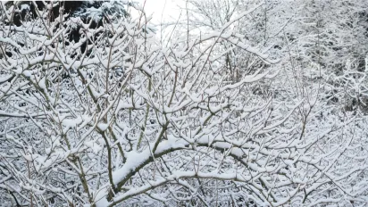 Народні прикмети 18 лютого: що зробити, щоб рік був щасливим і заможним - фото